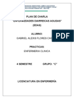 Plan de Charla Infecciones Diarreicas Agudas