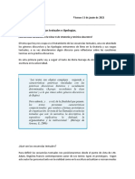 Clase 6 Oratoria y Retórica para Docentes