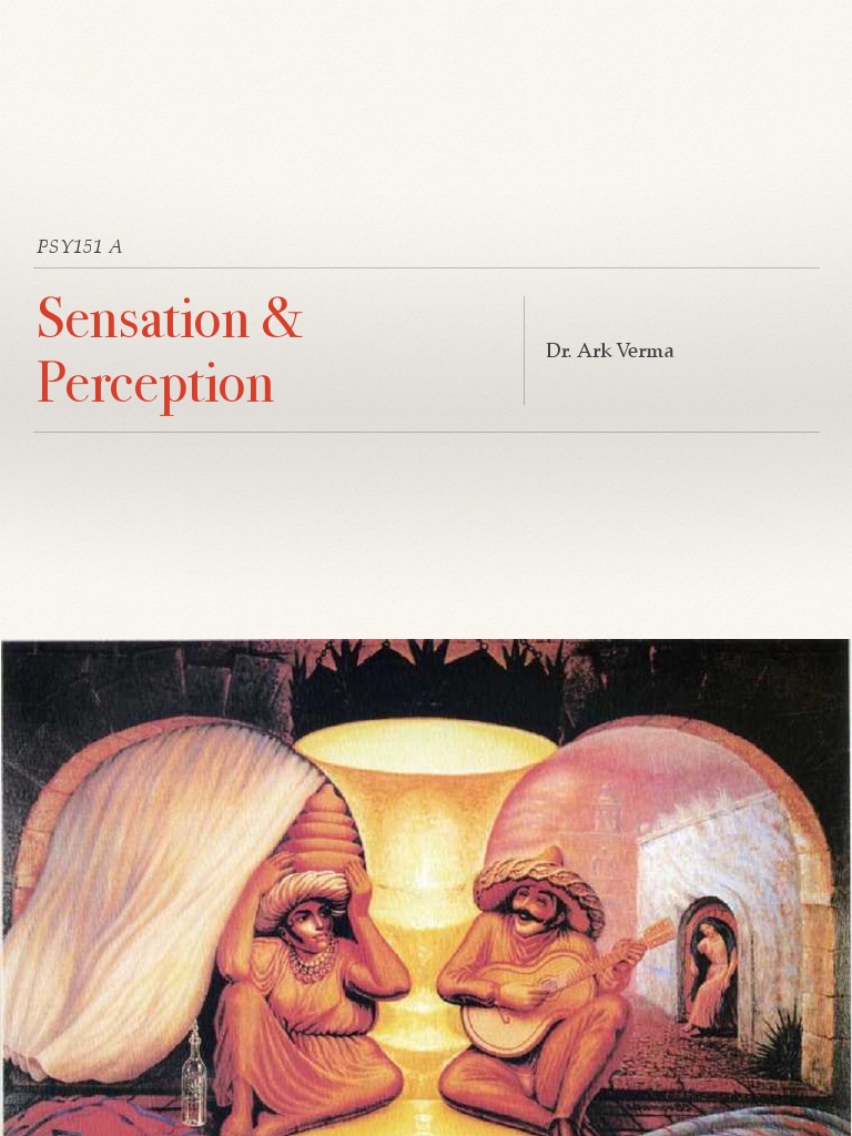 Understanding Sensation and Perception | PDF | Senses | Perception