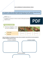 Guia Ciencias Naturales 1°cubierta y Desplazamiento