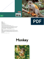 016 Monkey