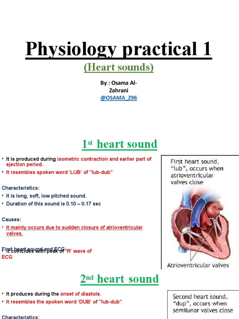 Heart Sounds: Physiology and Auscultation | PDF | Heart Valve | Heart