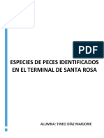 INFORME DE ESPECIES IDENTIFICADAS EN EL TERMINAL SANTA ROSA .