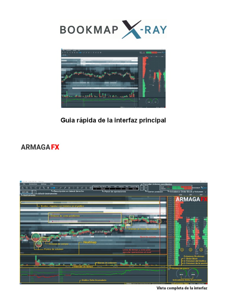 Guía rápida de Bookmap para XAUUSD | PDF