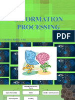 Information Processing: BY: Caballero, Balbin, Nuez