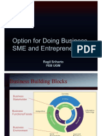 Meeting 3 Option For Doing Business