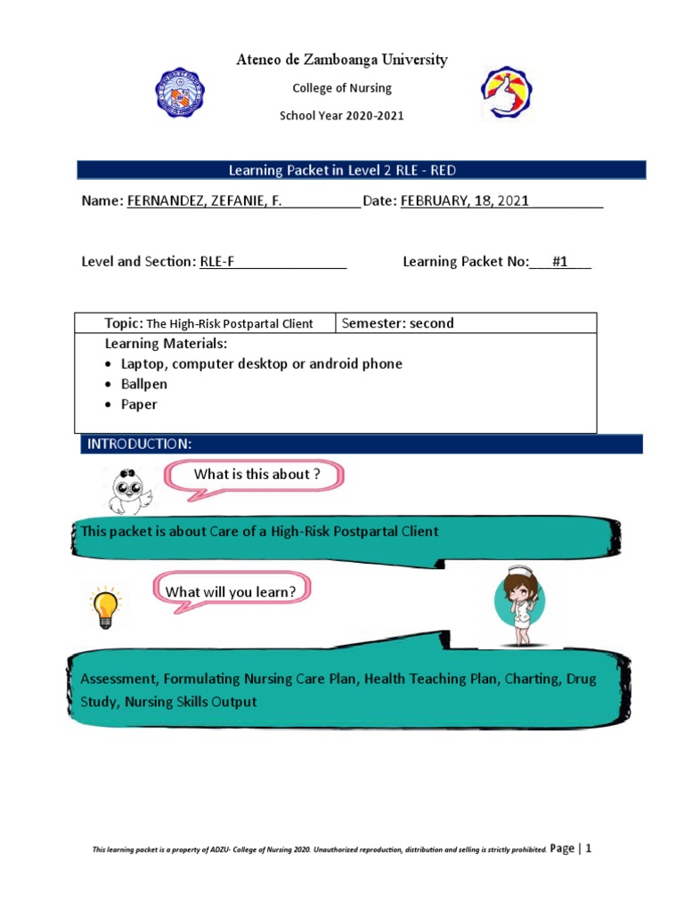 High-Risk Postpartal Client Care Packet | PDF | Clinical Medicine ...