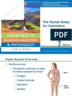 The Human Body: An Orientation: Part B