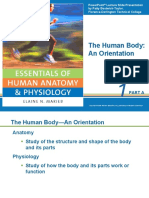 The Human Body: An Orientation: Part A