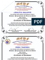 Certificate of Attendance: Ronalyn G. Malapote