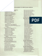 Clasificación de Las Bacterias