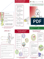 Tríptico - La Salud Esta en Tus Manos