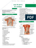 Vias de acesso em cirurgia