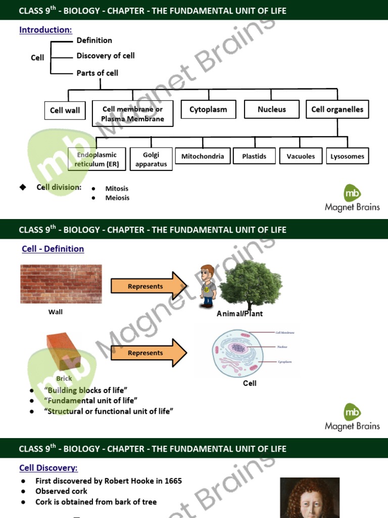 Class 9 Biology Chapter 1 Notes | PDF | Endoplasmic Reticulum | Osmosis