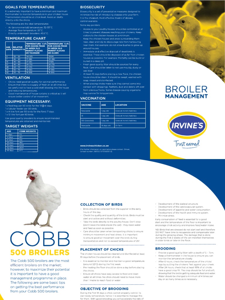 Irvines Cobb 500 Broiler Management | PDF