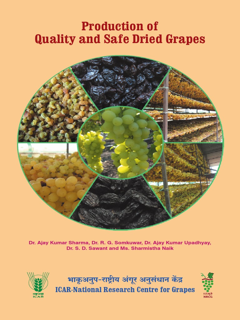 Quality Production of Dried Grapes | PDF | Raisin | Grape