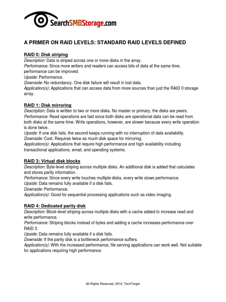 RAID Levels Explained for IT Pros | PDF | Hard Disk Drive | Information Age