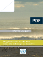 Internacional Diagnostico Del Estado de La Reducción de Riesgos de Desastres Uruguay