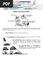 Cadena Alimentaria para Cuarto de Primaria