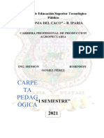 Carpeta Pedagogica 2021 - Fisico.