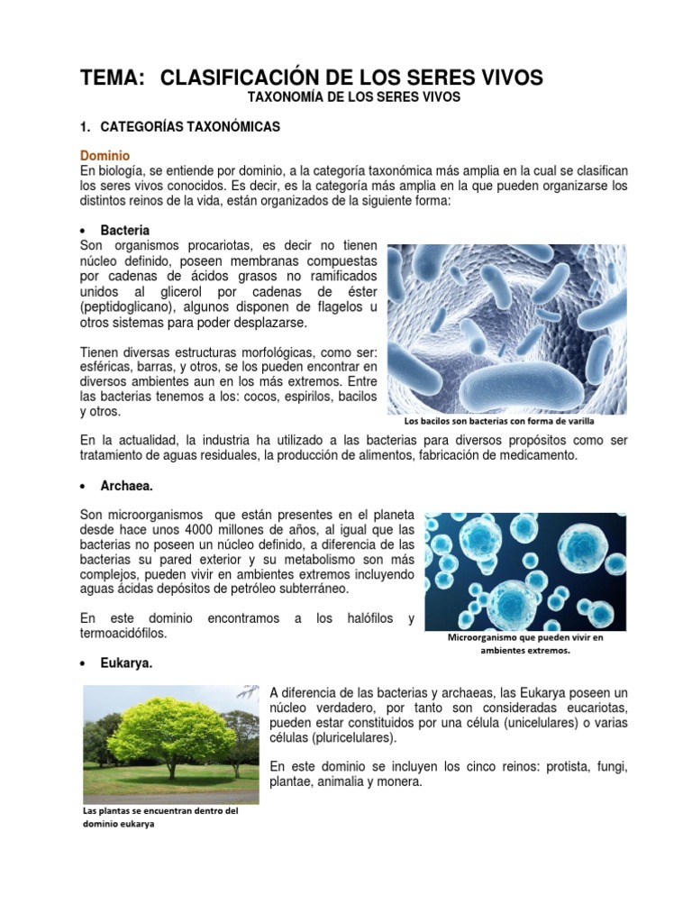 Clasificación de los Seres Vivos | PDF | Las bacterias | Eucariotas
