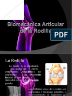 Biomecanica Rodilla