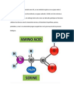 Aminoácidos: bases de las proteínas y roles biológicos