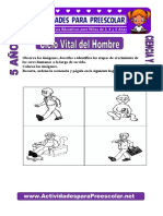 Ciclo Vital Del Hombre para Niños de 5 Años