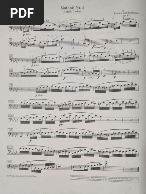 アート・デザイン・音楽 ORCHESTER PROBESPIEL VIOLONCELLO Orchester Probespiel - Parte 1 | PDF