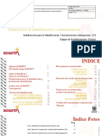 MNL Pss 001 v2 Manual para Idetificacion Caracterizacion