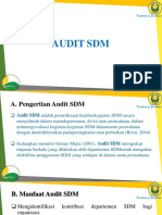 Audit SDM