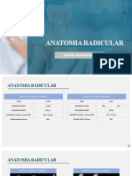 Anatomia Radicular - Dentes Permanentes