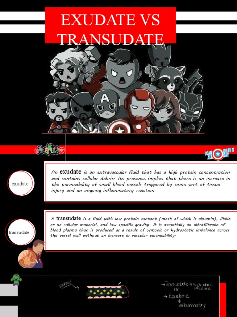 Exudate vs. Transudate Report | PDF | Blood Plasma | Animal Anatomy