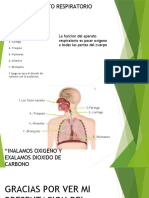 aparato respiratorio