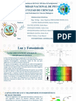 Grupo 2 - Fotosíntesis, Generalidades - Fase Luminosa