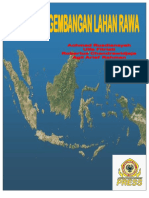 Buku DSR Pengb Lahan Rawa Achmad ISBN