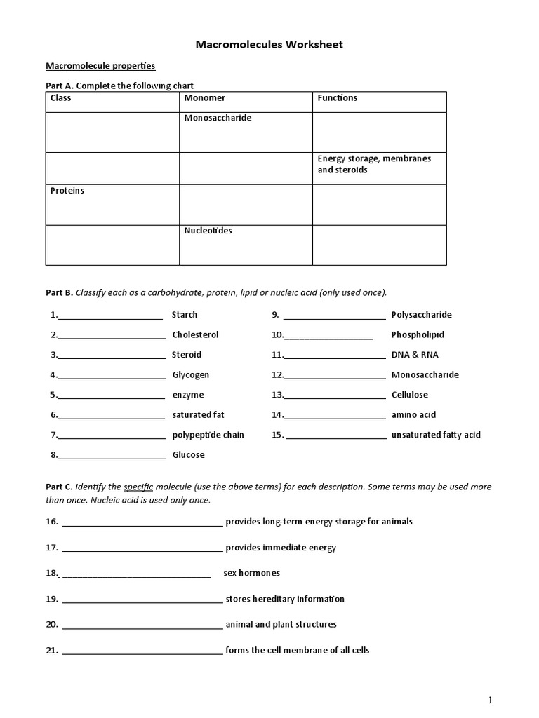 Macromolecules Worksheet for Biology | PDF | Macromolecules ...
