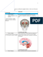 Taller Ganglios Basales