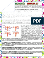 Resumen 37 Tercer Trimestre