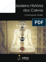 A verdadeira história dos chakras - Christopher Wallis