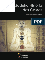 A Verdadeira História Dos Chakras - Christopher Wallis