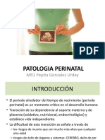 Patologia Perinatal
