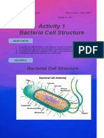 Del Rosario Microbio Activity 1 Bacteria Cell
