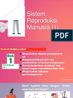 Sistem Reproduksi Manusia