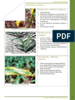 2.4. Deficiency Symptoms of Nutrients in Plants