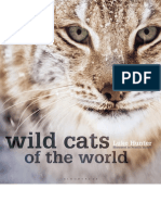 Wild Cats of The World