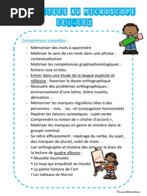 Dictee Ce1 Ce2 Diffrenciee Pdf Art Abstrait Nombre Grammatical