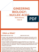 Nucleic Acids (Class 3)