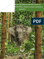 RTM Gajah Sumatera 2020 2023