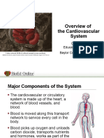 Overview of The Cardiovascular System: Center For Educational Outreach Baylor College of Medicine